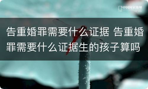 告重婚罪需要什么证据 告重婚罪需要什么证据生的孩子算吗