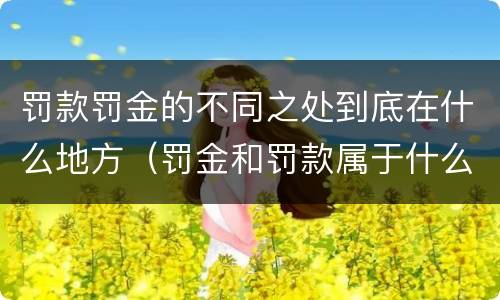 罚款罚金的不同之处到底在什么地方（罚金和罚款属于什么,区别在哪儿）