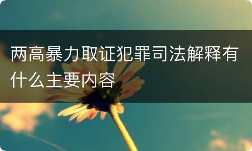 两高暴力取证犯罪司法解释有什么主要内容