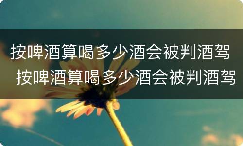 按啤酒算喝多少酒会被判酒驾 按啤酒算喝多少酒会被判酒驾呢