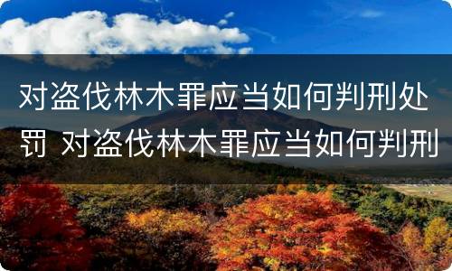 对盗伐林木罪应当如何判刑处罚 对盗伐林木罪应当如何判刑处罚决定书