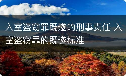 入室盗窃罪既遂的刑事责任 入室盗窃罪的既遂标准