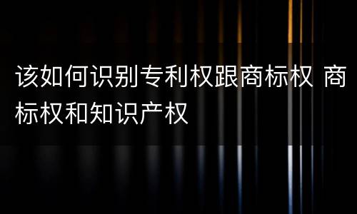 该如何识别专利权跟商标权 商标权和知识产权