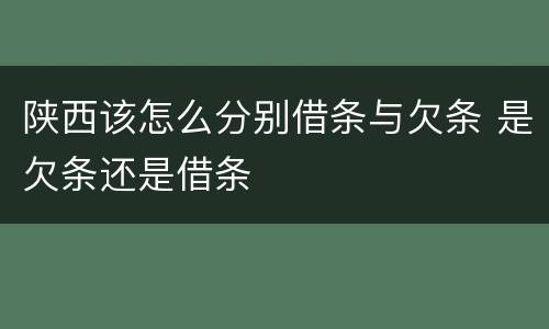 陕西该怎么分别借条与欠条 是欠条还是借条