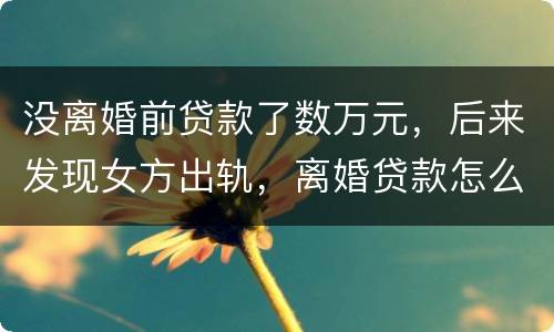 没离婚前贷款了数万元，后来发现女方出轨，离婚贷款怎么算