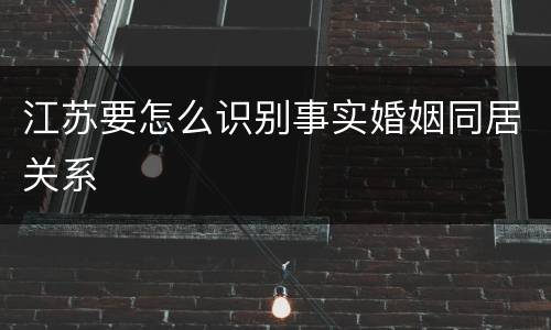 江苏要怎么识别事实婚姻同居关系