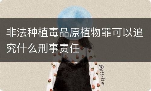 非法种植毒品原植物罪可以追究什么刑事责任
