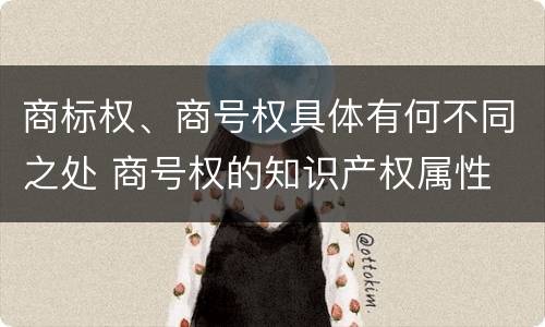 商标权、商号权具体有何不同之处 商号权的知识产权属性