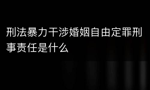 刑法暴力干涉婚姻自由定罪刑事责任是什么