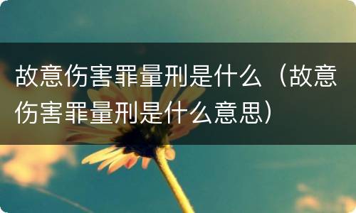 故意伤害罪量刑是什么（故意伤害罪量刑是什么意思）