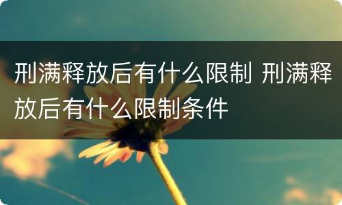 刑满释放后有什么限制 刑满释放后有什么限制条件
