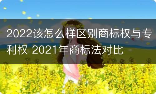 2022该怎么样区别商标权与专利权 2021年商标法对比