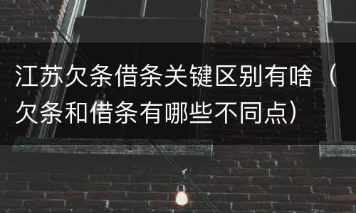 江苏欠条借条关键区别有啥（欠条和借条有哪些不同点）