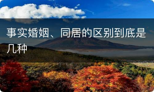 事实婚姻、同居的区别到底是几种