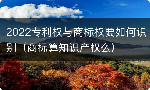 2022专利权与商标权要如何识别（商标算知识产权么）