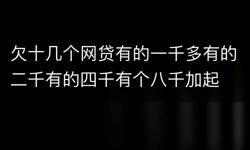 欠十几个网贷有的一千多有的二千有的四千有个八千加起
