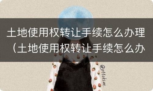 土地使用权转让手续怎么办理（土地使用权转让手续怎么办理流程）