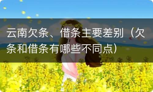 云南欠条、借条主要差别（欠条和借条有哪些不同点）