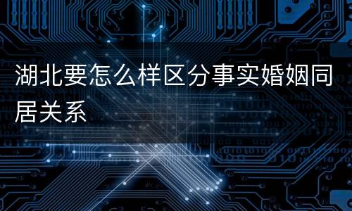 湖北要怎么样区分事实婚姻同居关系
