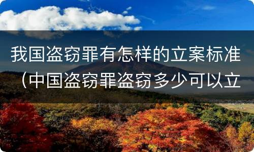 我国盗窃罪有怎样的立案标准（中国盗窃罪盗窃多少可以立案）
