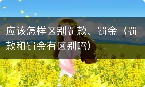 应该怎样区别罚款、罚金（罚款和罚金有区别吗）
