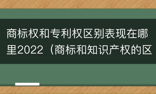 商标权和专利权区别表现在哪里2022（商标和知识产权的区别）
