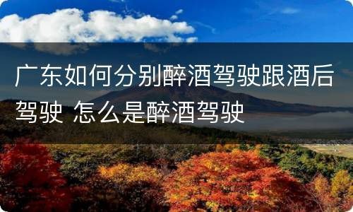 广东如何分别醉酒驾驶跟酒后驾驶 怎么是醉酒驾驶