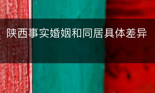陕西事实婚姻和同居具体差异