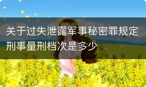 关于过失泄露军事秘密罪规定刑事量刑档次是多少