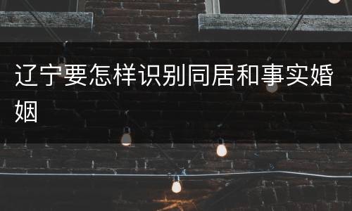 辽宁要怎样识别同居和事实婚姻