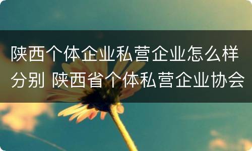 陕西个体企业私营企业怎么样分别 陕西省个体私营企业协会