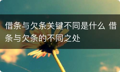 借条与欠条关键不同是什么 借条与欠条的不同之处