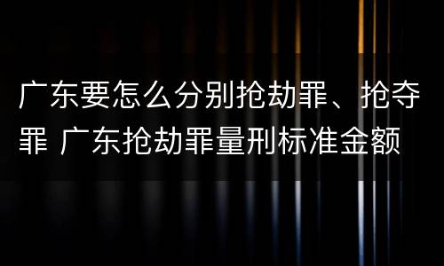 广东要怎么分别抢劫罪、抢夺罪 广东抢劫罪量刑标准金额