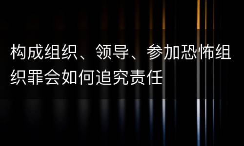 构成组织、领导、参加恐怖组织罪会如何追究责任