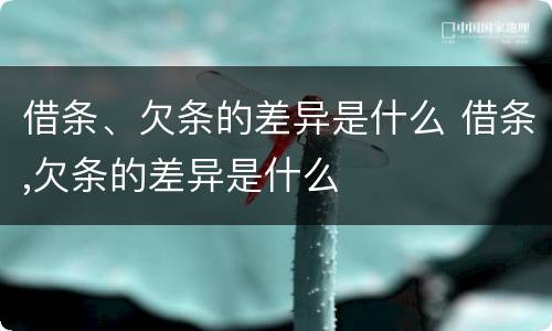 借条、欠条的差异是什么 借条,欠条的差异是什么