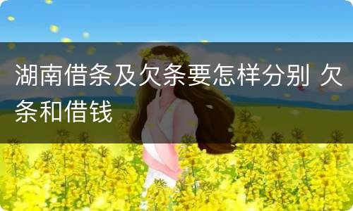 湖南借条及欠条要怎样分别 欠条和借钱