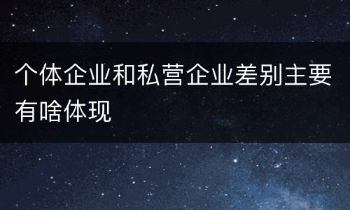 个体企业和私营企业差别主要有啥体现