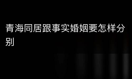 青海同居跟事实婚姻要怎样分别