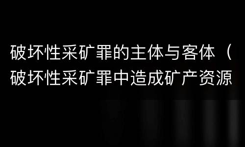 破坏性采矿罪的主体与客体（破坏性采矿罪中造成矿产资源严重破坏的）
