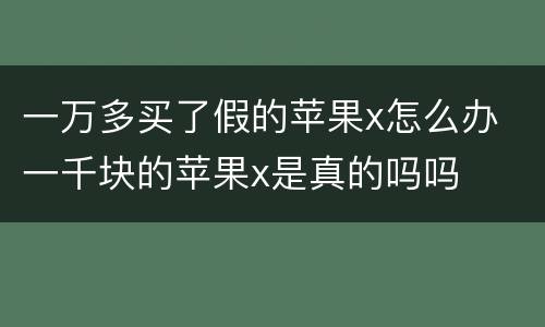 一万多买了假的苹果x怎么办 一千块的苹果x是真的吗吗