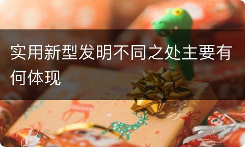 实用新型发明不同之处主要有何体现