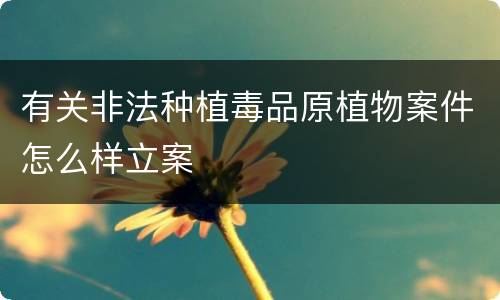 有关非法种植毒品原植物案件怎么样立案