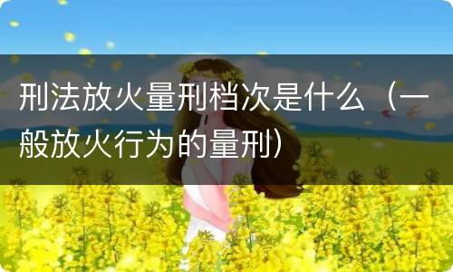 刑法放火量刑档次是什么（一般放火行为的量刑）
