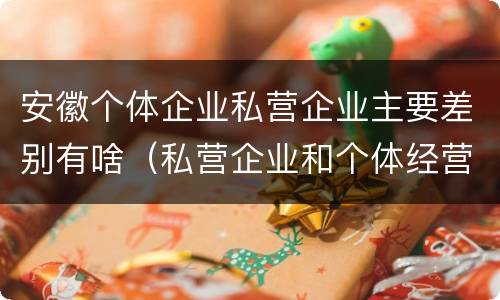 安徽个体企业私营企业主要差别有啥（私营企业和个体经营的区别）
