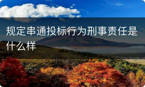 规定串通投标行为刑事责任是什么样