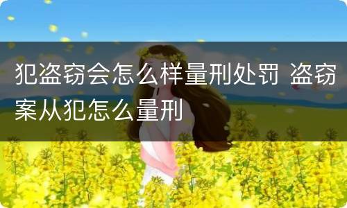 犯盗窃会怎么样量刑处罚 盗窃案从犯怎么量刑