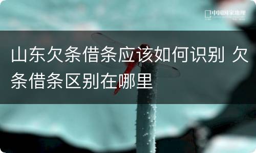 山东欠条借条应该如何识别 欠条借条区别在哪里