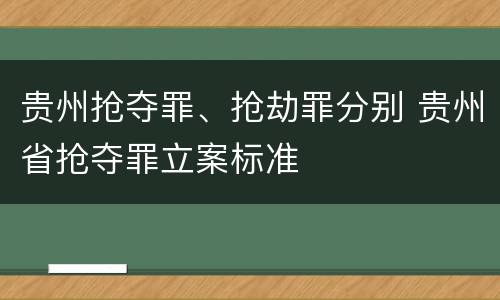 贵州抢夺罪、抢劫罪分别 贵州省抢夺罪立案标准