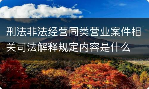 刑法非法经营同类营业案件相关司法解释规定内容是什么