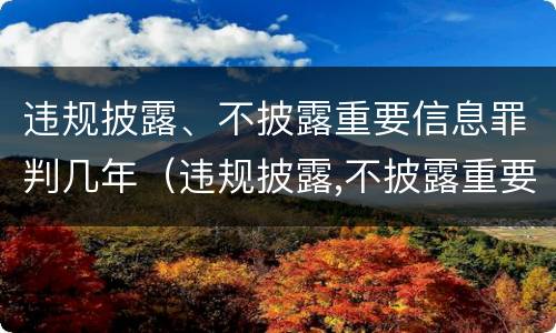 违规披露、不披露重要信息罪判几年（违规披露,不披露重要信息罪判几年）